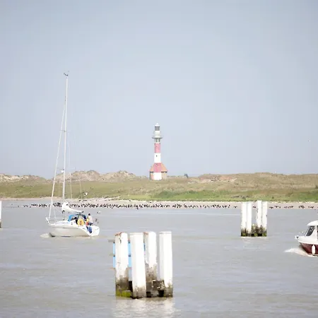Lägenhet In Near The Beach, Cleaning Included Nieuwpoort
